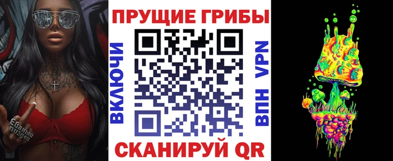 Псилоцибиновые грибы Psilocybine cubensis  Нижний Новгород 